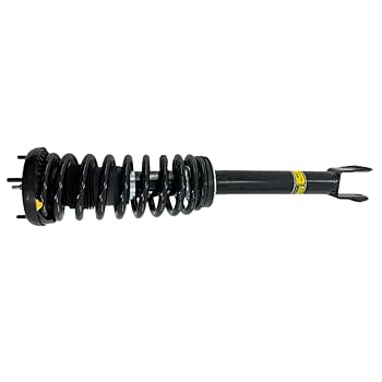 Amazon.com: C2Z5526 C2Z27763 C2Z25382 1x Front Left or Right
